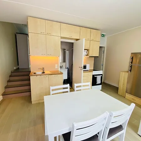 Paeikeseterrassi Apartment *
